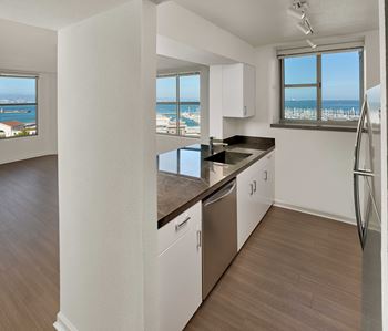 Electric kitchens with stainless steel appliances